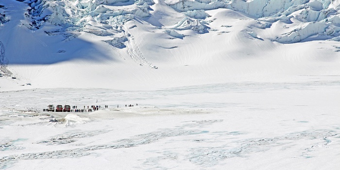 Turister på Columbia Icefield og Athabasca Glacier i Jasper Nationalpark, Alberta i Canada