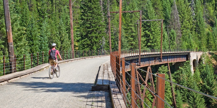 På cykel via Hiawatha Trail - bro over frodigt skovområde - Montana og Idaho i USA