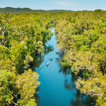 Noosa Everglades i kano