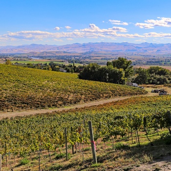 Sunnyslope vinområdet i Idaho