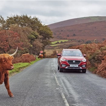 Kør-selv ferie i Sydengland når det er bedst, Dartmoor National Park i England