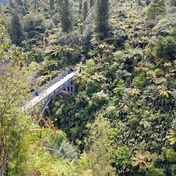 Bridge to Nowhere i Whanganui National Park på Nordøen - New Zealand