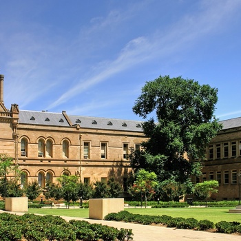 Universitet i Adelaide