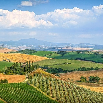Val d'Orcia - smukt landskab med vinmarker i Toscana