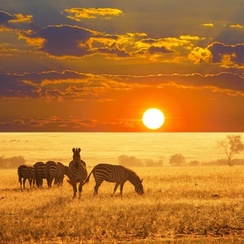 Kør-selv-ferie i Sydafrika med mulighed for safari