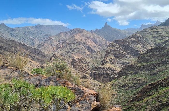 Parque Natural de Cuenca de Tejeda på Gran Canaria