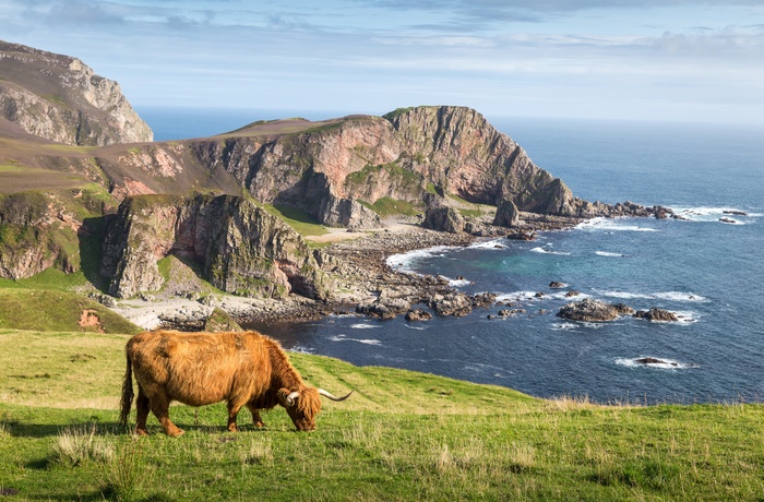 Isle of Mulls dramatiske kystlandskaber - Skotland