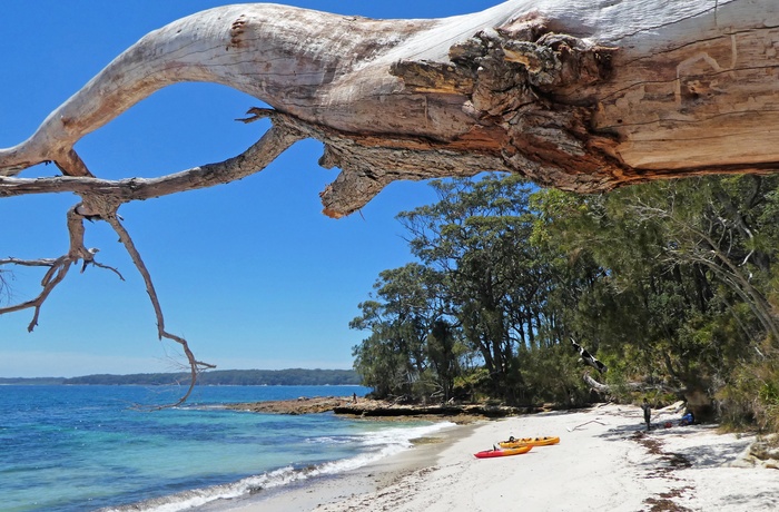 Jervis Bay, strand med et par små kanoer, New South Wales i Australien