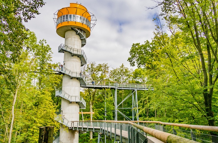 Udsigtstårn og Tree-top walk i Nationalparken Hainich, Thüringen i Midttyskland