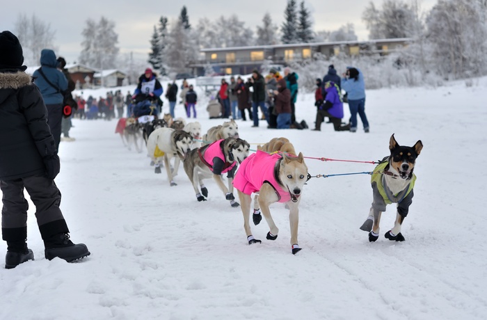 Yukon Quest International Sled Dog Race - Canada