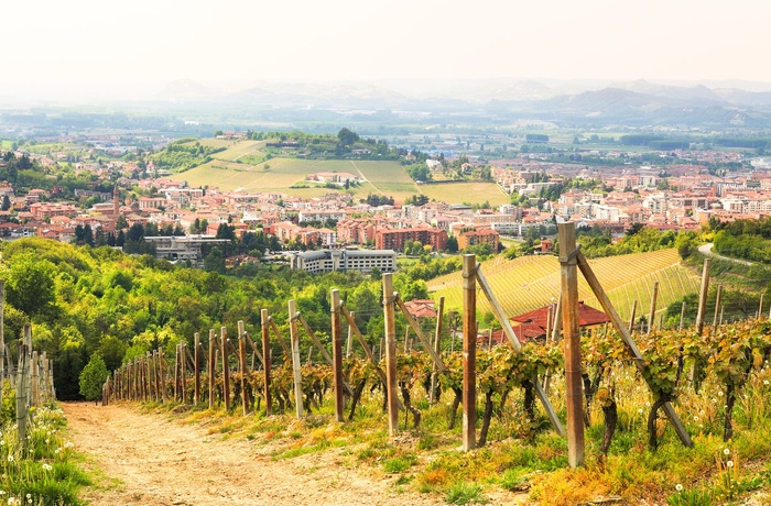 Smukt vinområde nær byen Alba i Piemonte