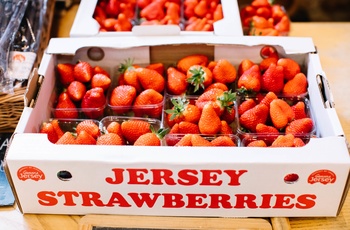 Jersey Jordbær