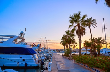 Marinaen i Alicante i solnedgang