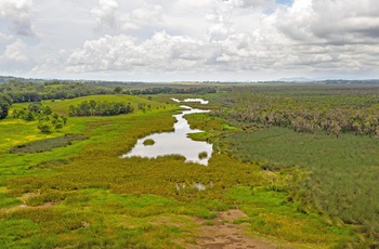 Eubenangee Wetlands i Queensland - Australien