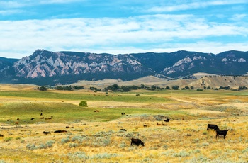 Bighorn Mountains i Wyoming, USA