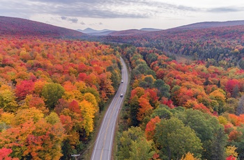 Skovområde i smukke efterårsfarver - Vermont