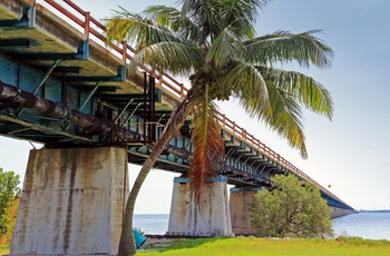 Bor over Pigeon Key, ø langs Overseas Highway til Key West, Florida