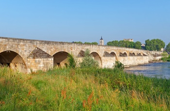 Gammel bro til middelalderbyen Beaugency, Loiredalen i Frankrig