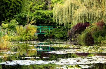 De berømte åkander i Monets Have i Giverny uden for Paris, Frankrig