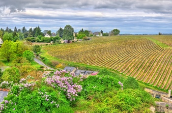 Vinmarker i Loiredalen, det nordvestlige Frankrig