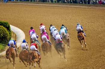 Hestevæddeløb