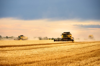 Flere mejetærskere på mark i Kansas - den stat i USA, der producerer mest hvede