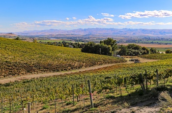 Sunnyslope vinområdet i Idaho