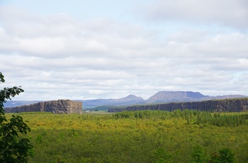 Ásbyrgi kløften i Jokulsargljufur nationalpark -nordlige Island