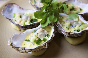 Jersey Oysters - mums