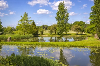 Den engelske park Dessau-Wörlitz Gartenreich på en sommerdag, Midttyskland