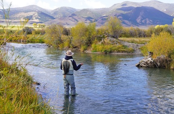 Fluefiskeri i Montana