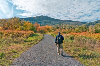 Mand på vej mod toppen af Mount Greylock i Massachusetts
