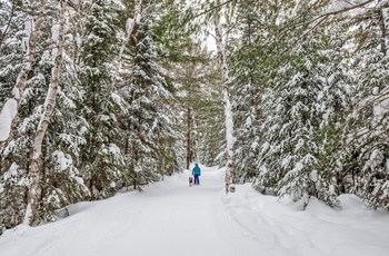Vinter i Arrowhead Provincial Park i Ontario, Canada