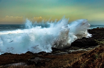 Bølger ved kystbyen Depoe Bay, Oregon i USA