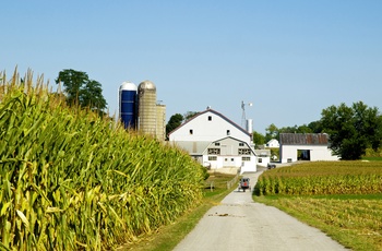 Amish besøgsgård i Lancaster County, Pennsylvania i USA