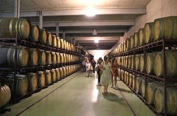 Rundvisning på vingården Adega Quinta do Portal - Douro-dalen i det nordlige Portugal