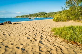 Lækker strand ved kystbyen 1770 på Capricorn Coast - Queensland