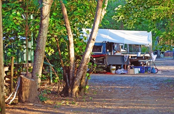 Campingområde i Cape Hillsborough National Park - Queensland