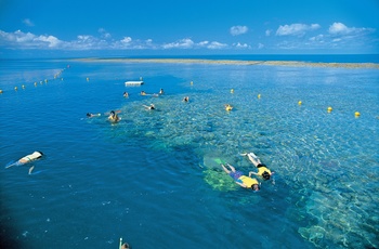 Whitsunday Island - snorkling ved Hardy Reef, Australien - copyright Jason Hill and Tourism & Events Queensland