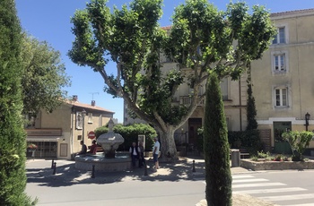 De lokale slapper af ved fontænen i vinbyen Chateauneuf-du-Pape i Rhônedalen
