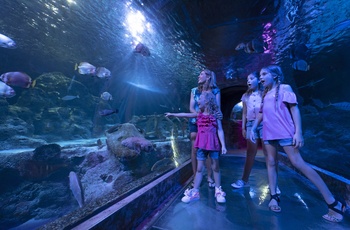 Sea Life Grapevine Aquarium - Texas i USA