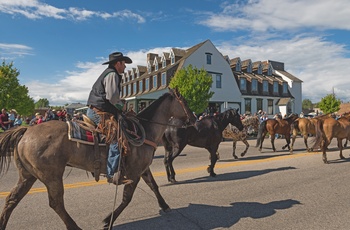 Sheridan Eatons Horse Drive, Wyoming - Foto: Shawn Parker, Sheridan County Travel & Tourism