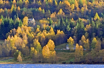 Efterår i The Trossachs, naturområde i Skotland