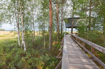 Fugletårn i Store Mosse Nationalpark i Sydsverige
