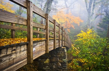 Smuk natur langs Appalachian trail om efteråret i North Carolina - USA