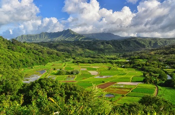 Hanalei Valley på øen Kauai - Hawaii i USA