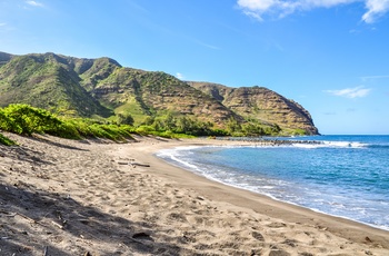 Strand på øen Molokai - Hawaii - USA