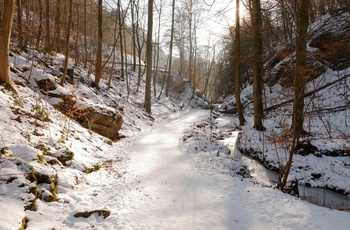 Drachenschlucht - Dragekløften i Thüringen om vinteren