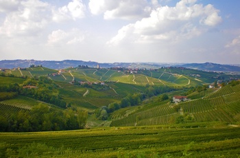 Vinmarker i Piemonte, Eurobike