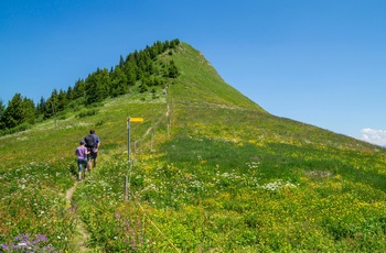 Courchevel i de franske Alper - mulighed for vandreture